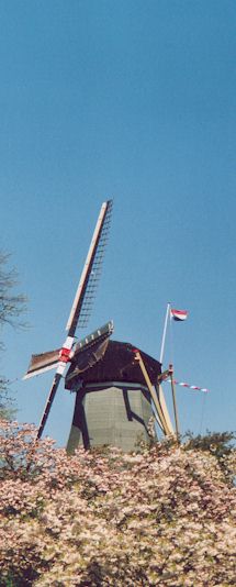 Moulin (Keukenhof)