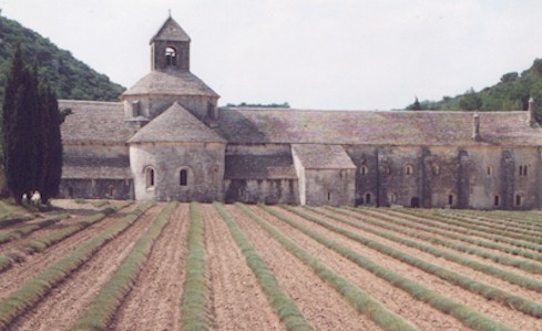 Abbaye de Snanque